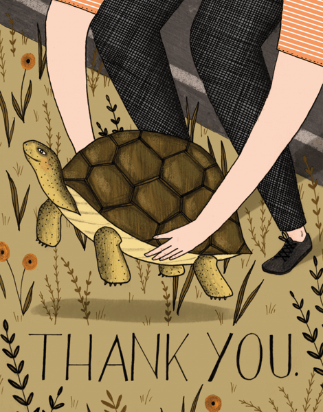 Thank You Turtle